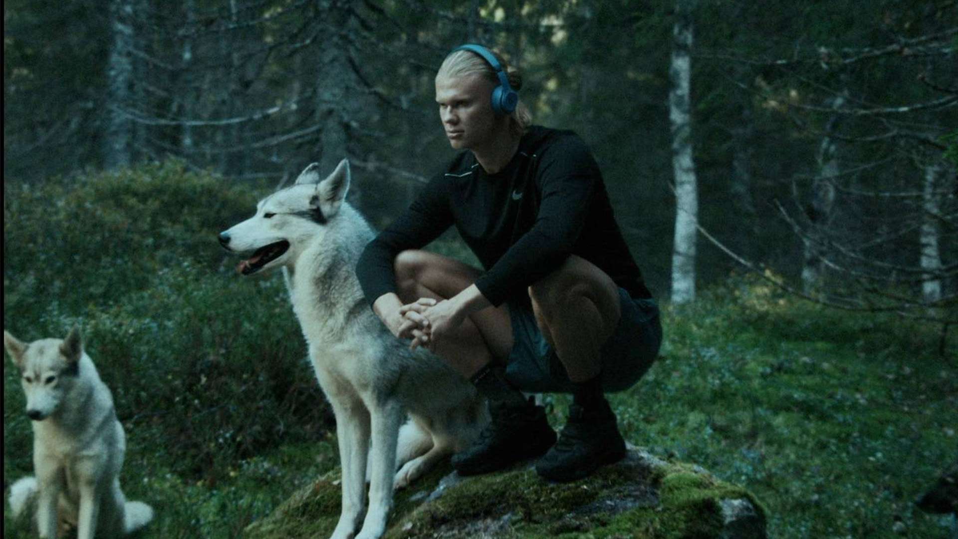 他尤其提到 他尤其提到