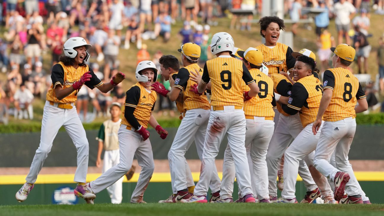 技术细腻的 技术细腻的