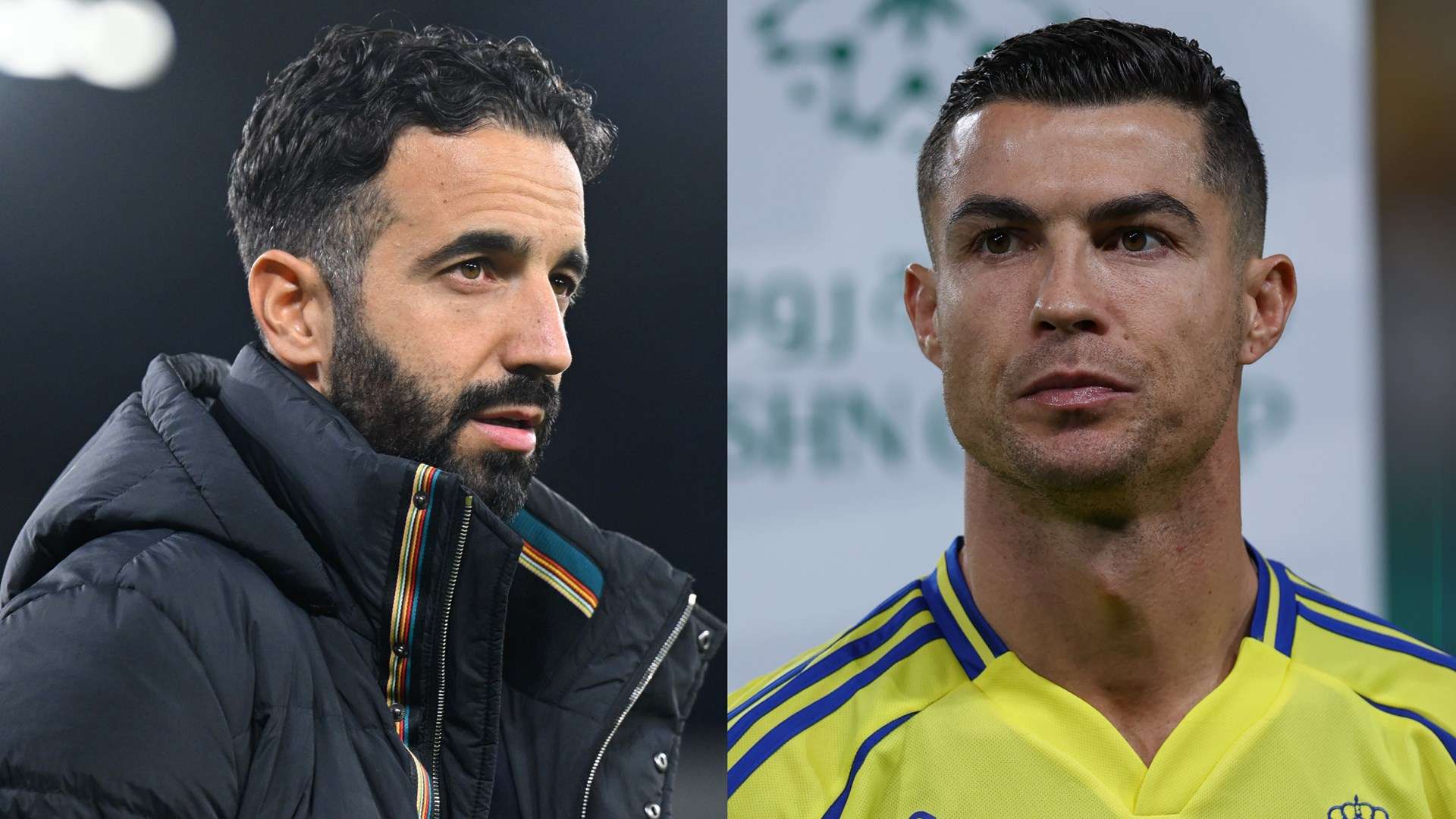 场提供更多 场提供更多