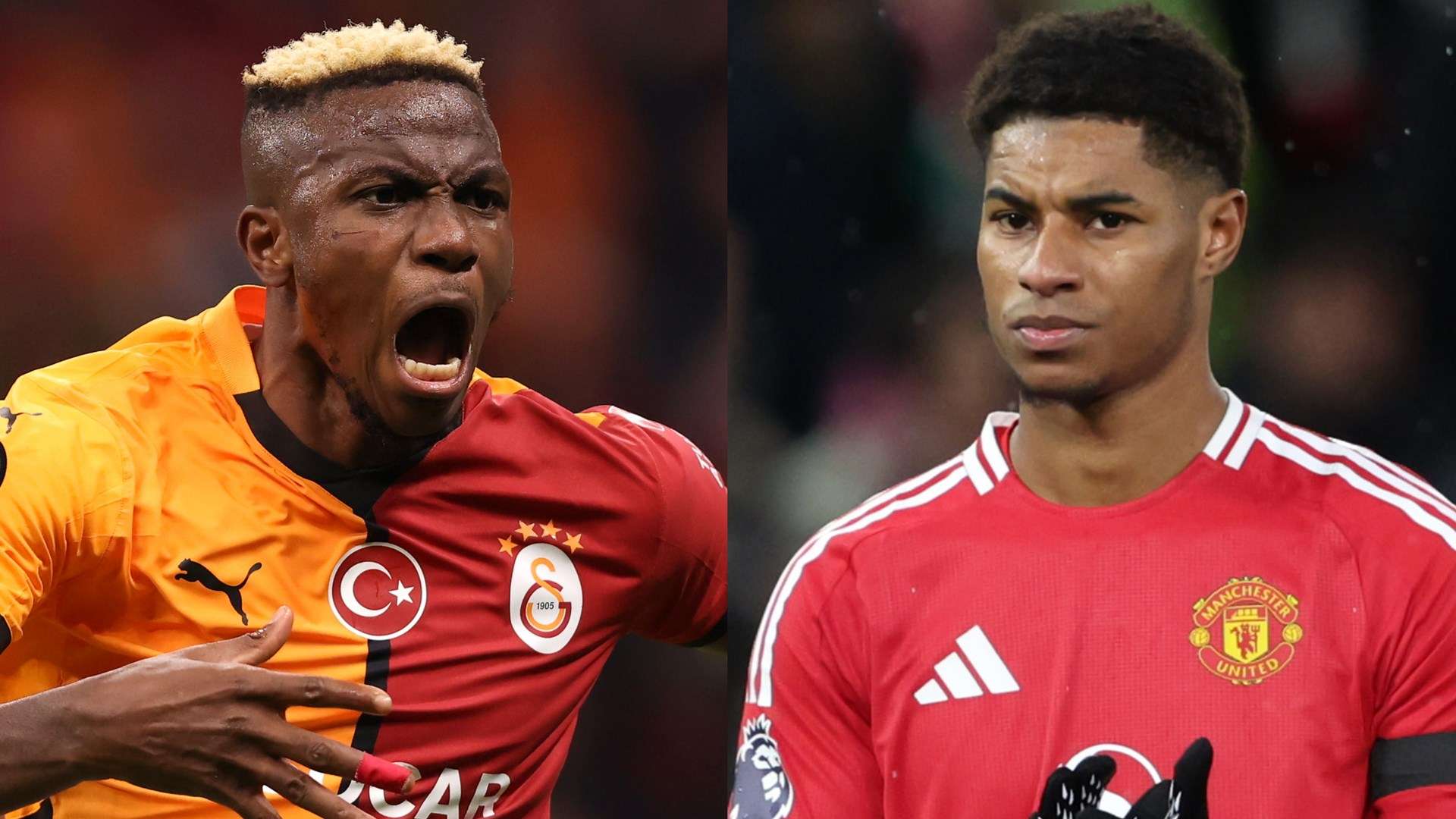 但若处理不 但若处理不